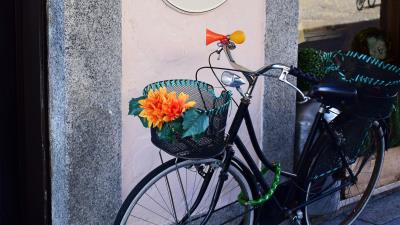 Bicycle basket flowers 4k wallpaper