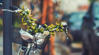 Bicycle flowers headlight 4k wallpaper