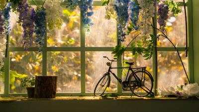 Bicycle window statuette 4k wallpaper
