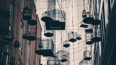 Bird cages buildings architecture 4k wallpaper