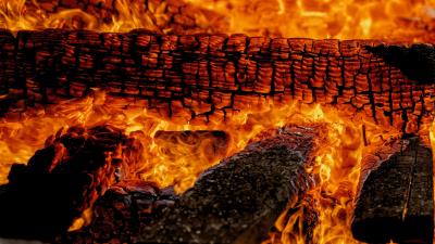 Bonfire flame firewood 4k wallpaper
