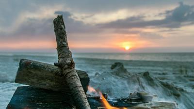 Bonfire flame logs 4k wallpaper