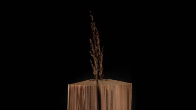 Book branch dark 4k wallpaper