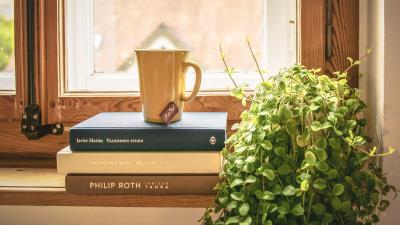 Book cup tea window sill window houseplant 4k wallpaper