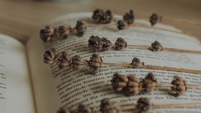 Book lavender herbarium 4k wallpaper