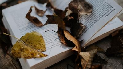 Book leaves autumn 4k wallpaper