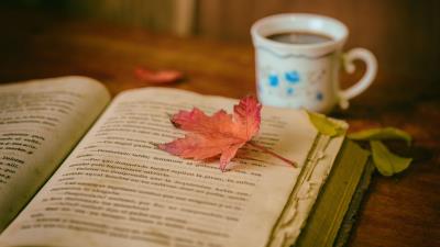 Book leaves cup 4k wallpaper