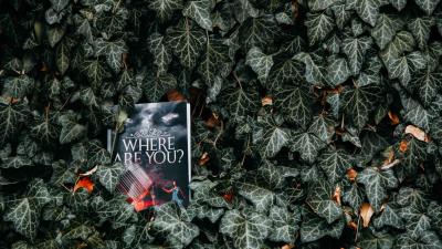 Book leaves reading 4k wallpaper