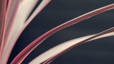 Book pages paper 4k wallpaper