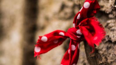 Bow branch circles 4k wallpaper