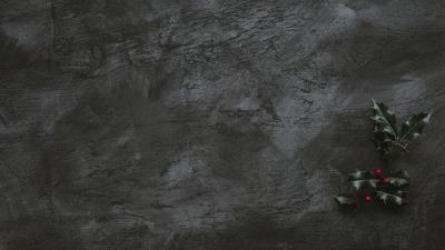 Branch leaves berries 4k wallpaper