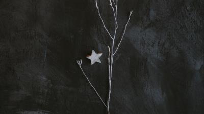Branch star minimalism 4k wallpaper
