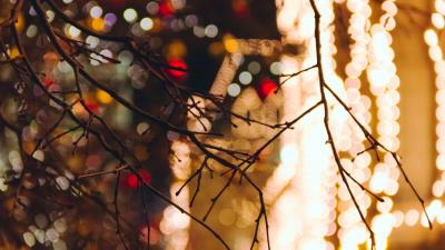 Branches blur glare 4k wallpaper