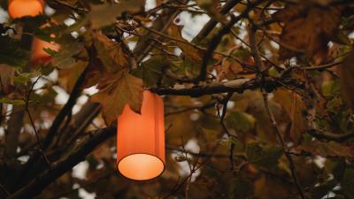 Branches lantern light 4k wallpaper
