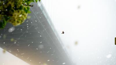 Bridge blizzard fog 4k wallpaper