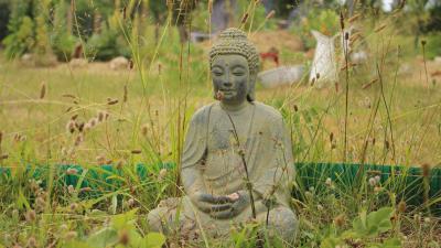 Buddha buddhism meditation grass 4k wallpaper