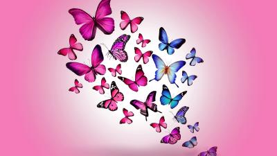 Butterfly drawing flying colorful background pin 4k wallpaper