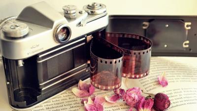 Camera film books flowers dry petal 4k wallpaper