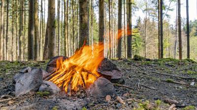 Camping bonfire firewood 4k wallpaper