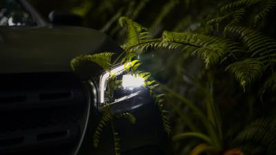 Car headlight fern 4k wallpaper