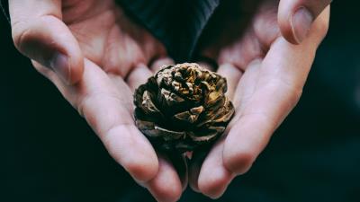 Cone hands palms 4k wallpaper