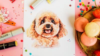 Drawing dog confetti 4k wallpaper