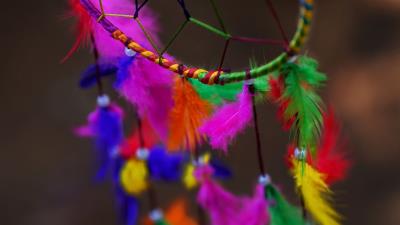 Dreamcatcher multicolor feathers 4k wallpaper