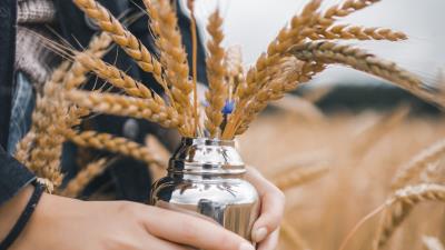 Ears grass hands 4k wallpaper