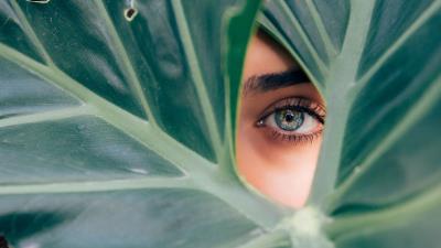 Eye leaf plant 4k wallpaper