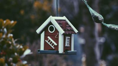 Feeder bird house 4k wallpaper