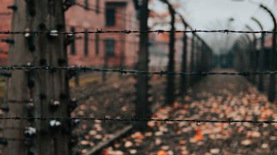 Fence barbed wire wire 4k wallpaper