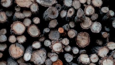 Firewood logs wood 4k wallpaper