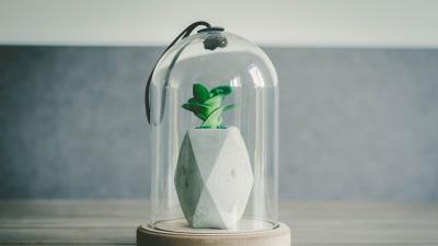 Flower can bottle shape 4k wallpaper