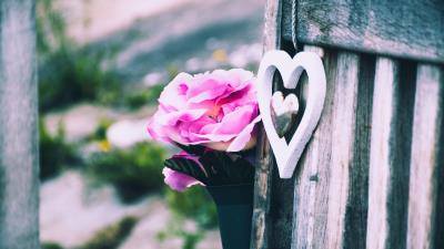 Flower heart decorative 4k wallpaper