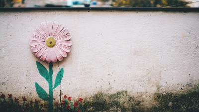 Flower wall art 4k wallpaper