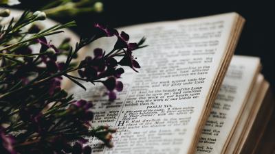 Flowers book reading 4k wallpaper