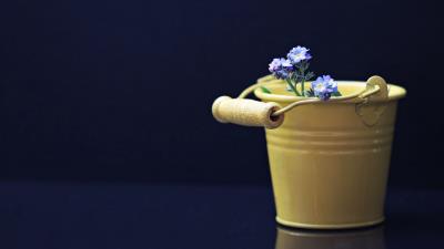Flowers bucket decorative 4k wallpaper