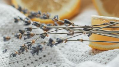 Flowers dried flowers lemon 4k wallpaper