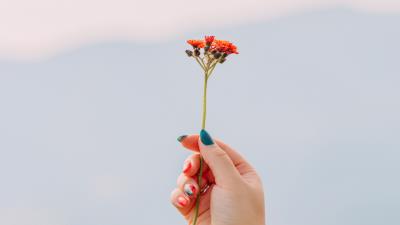 Flowers hand focus 4k wallpaper