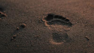 Footprint sand beach 4k wallpaper