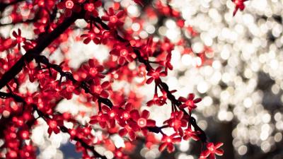 Garland glare bokeh 4k wallpaper