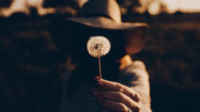 Girl dandelion hand 4k wallpaper