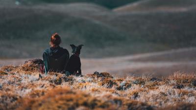 Girl dog nature 4k wallpaper