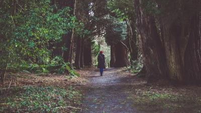 Girl forest alone 4k wallpaper