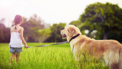 Girl leash dog walk grass par 4k wallpaper