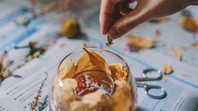 Glass petals hand 4k wallpaper