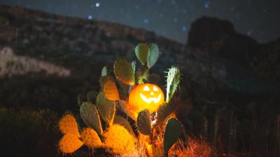 Halloween pumpkin glow 4k wallpaper