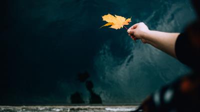 Hand leaf dry 4k wallpaper