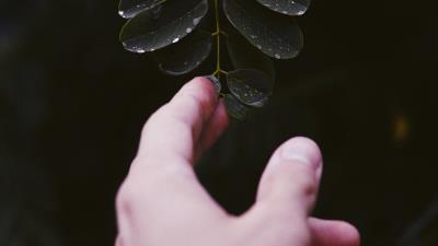 Hand leaf fingers 4k wallpaper