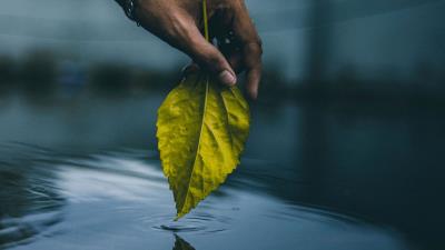 Hand leaf water image 4k wallpaper